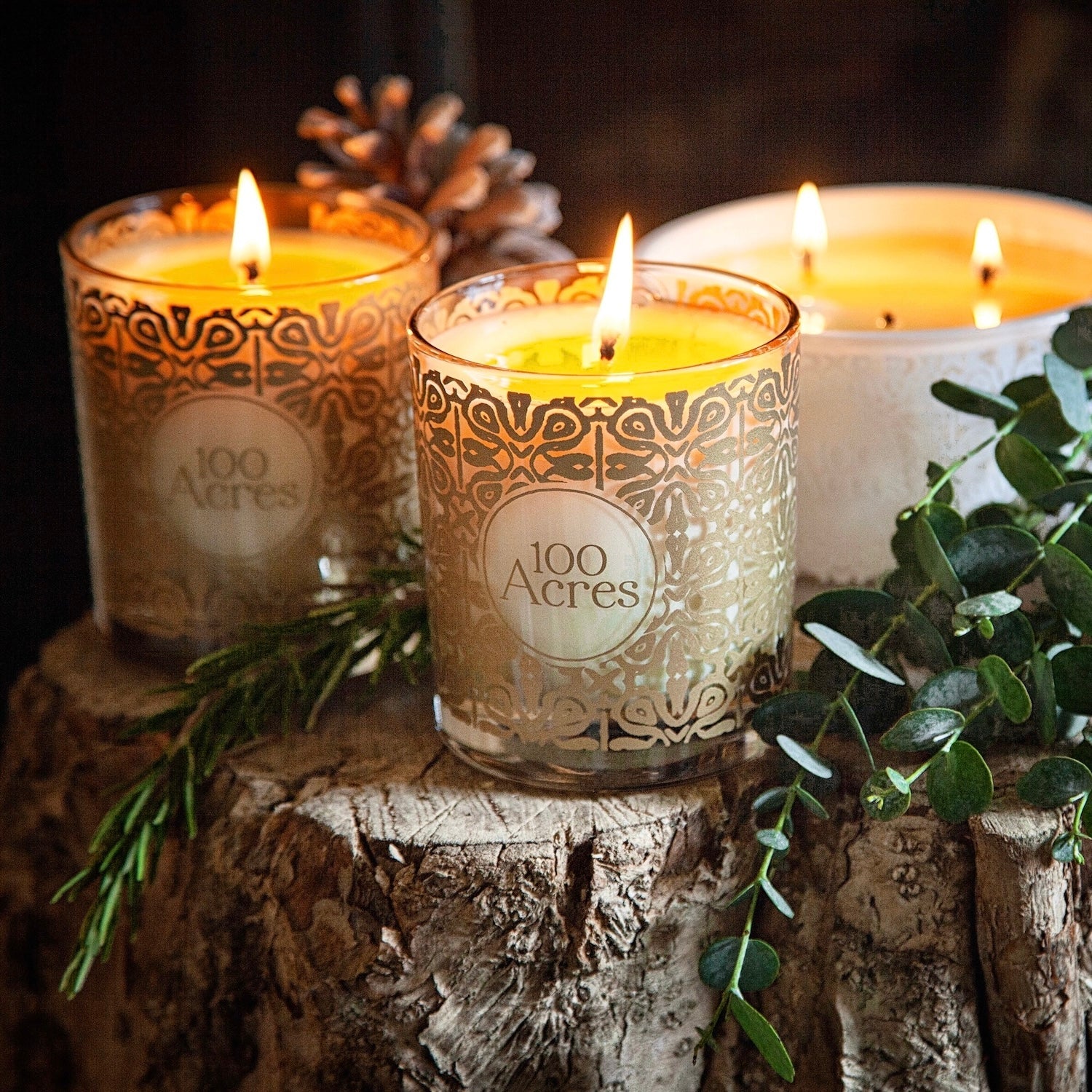 Golden Orange, Cinnamon & Frankincense Single-Wick Scented Candle