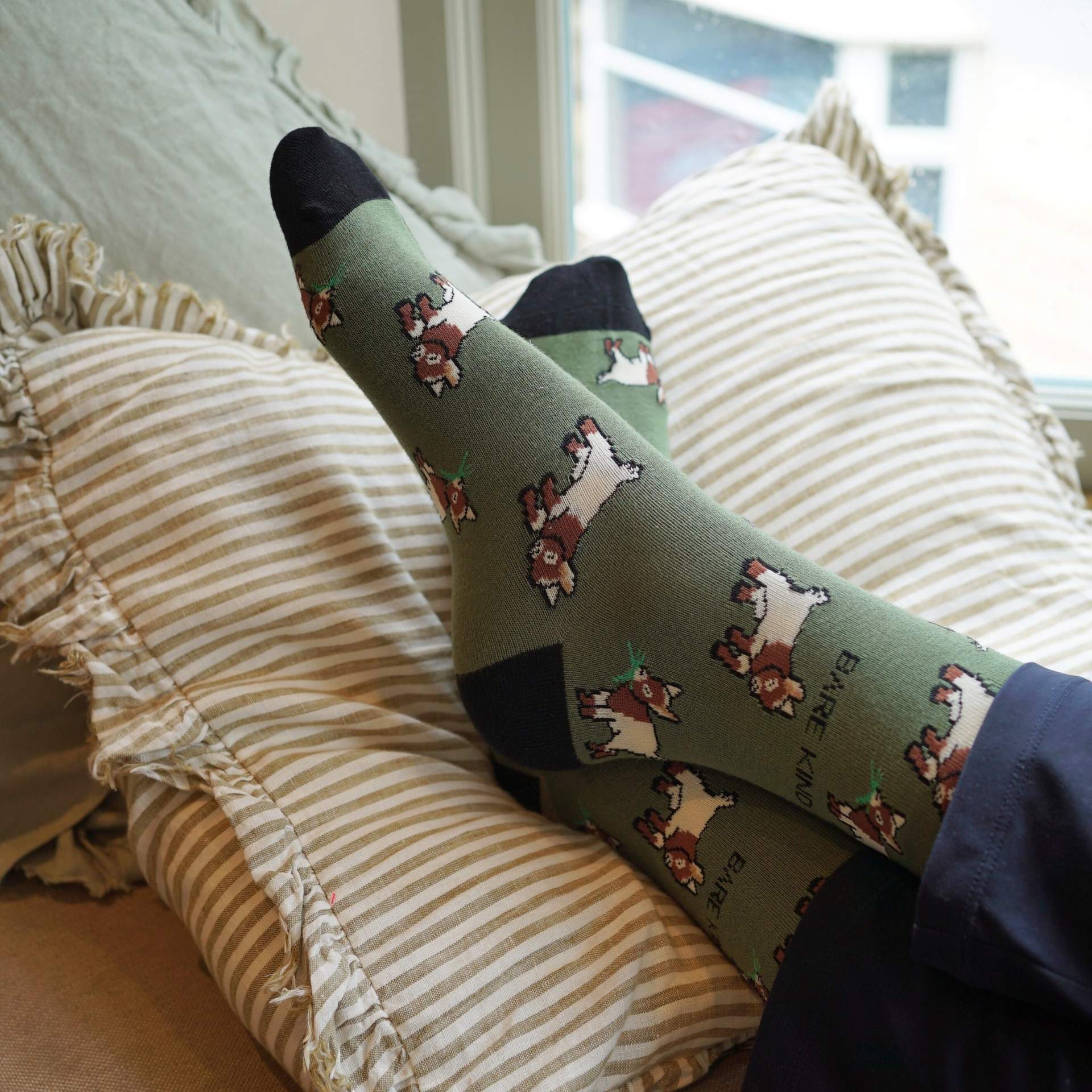 Farm Rainbow Bundle of 4 Bamboo Sock Set