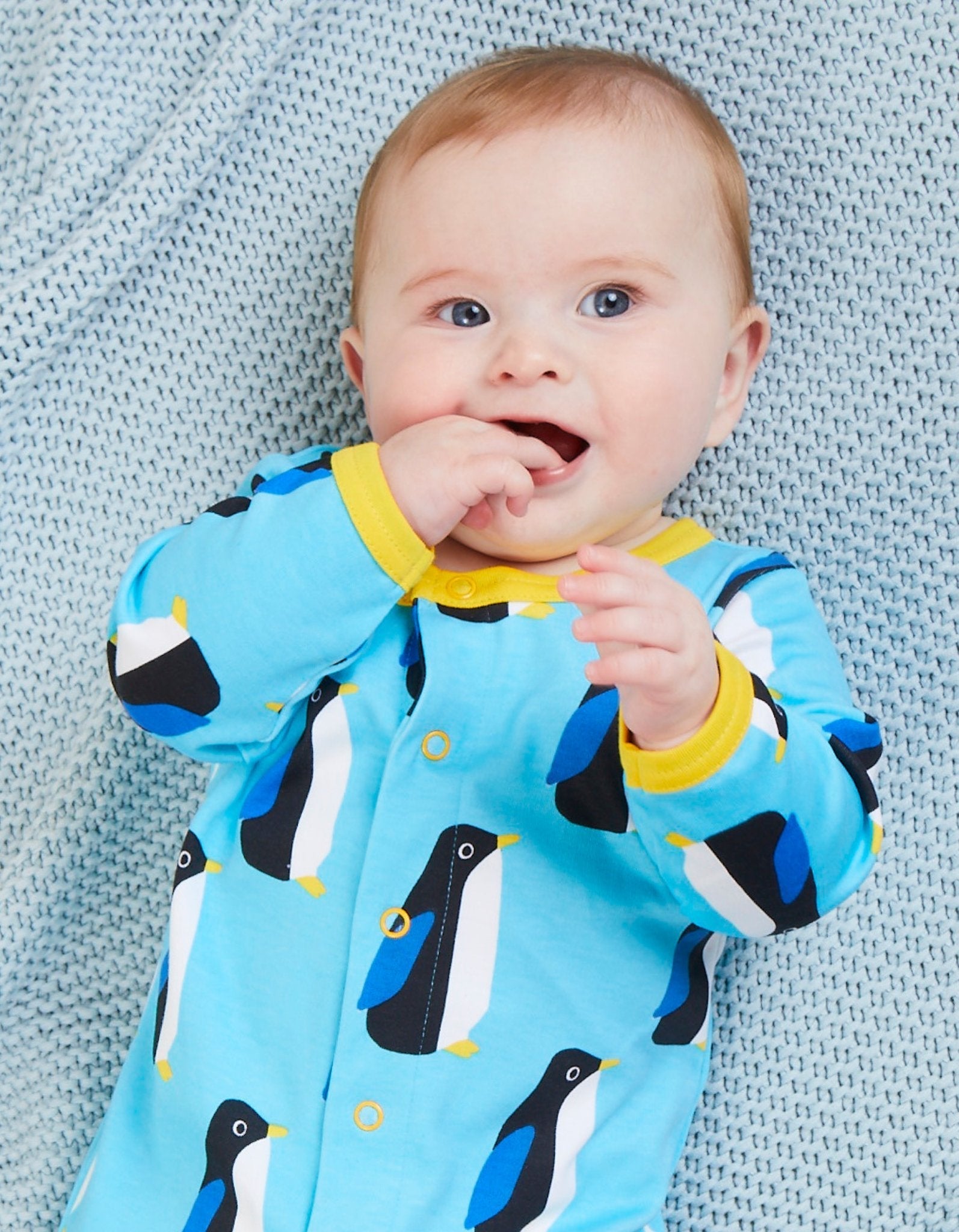 Organic Penguin Print Baby Gift Set