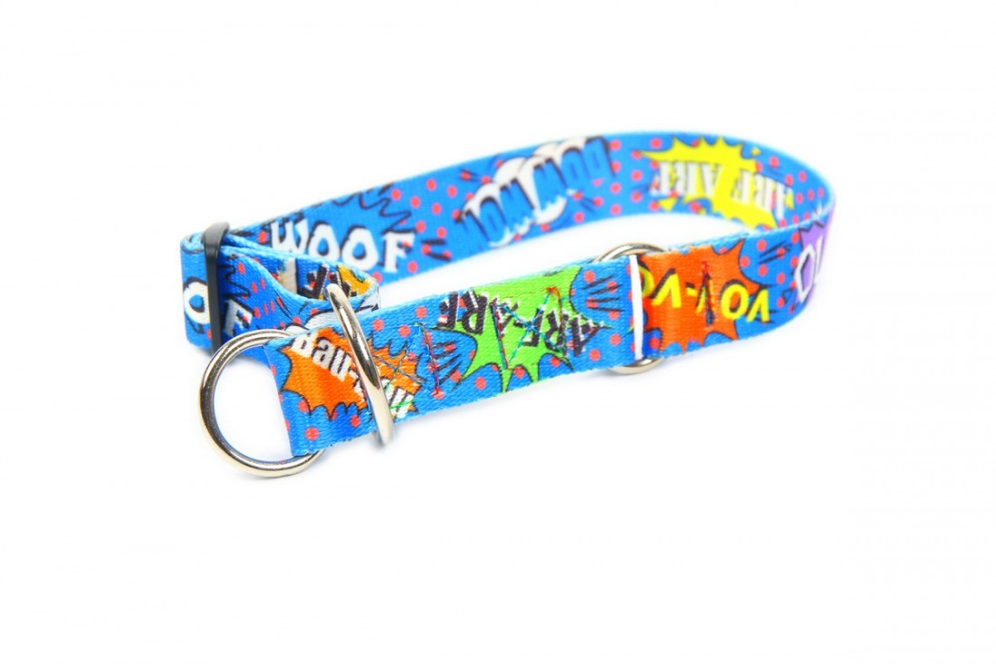 soft blue graffiti half choke collar on a large dog in gentle morning light