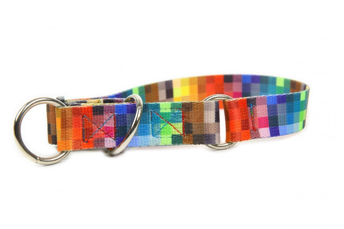 confident large dog in morning sun wearing a durable pixel-pattern half choke collar