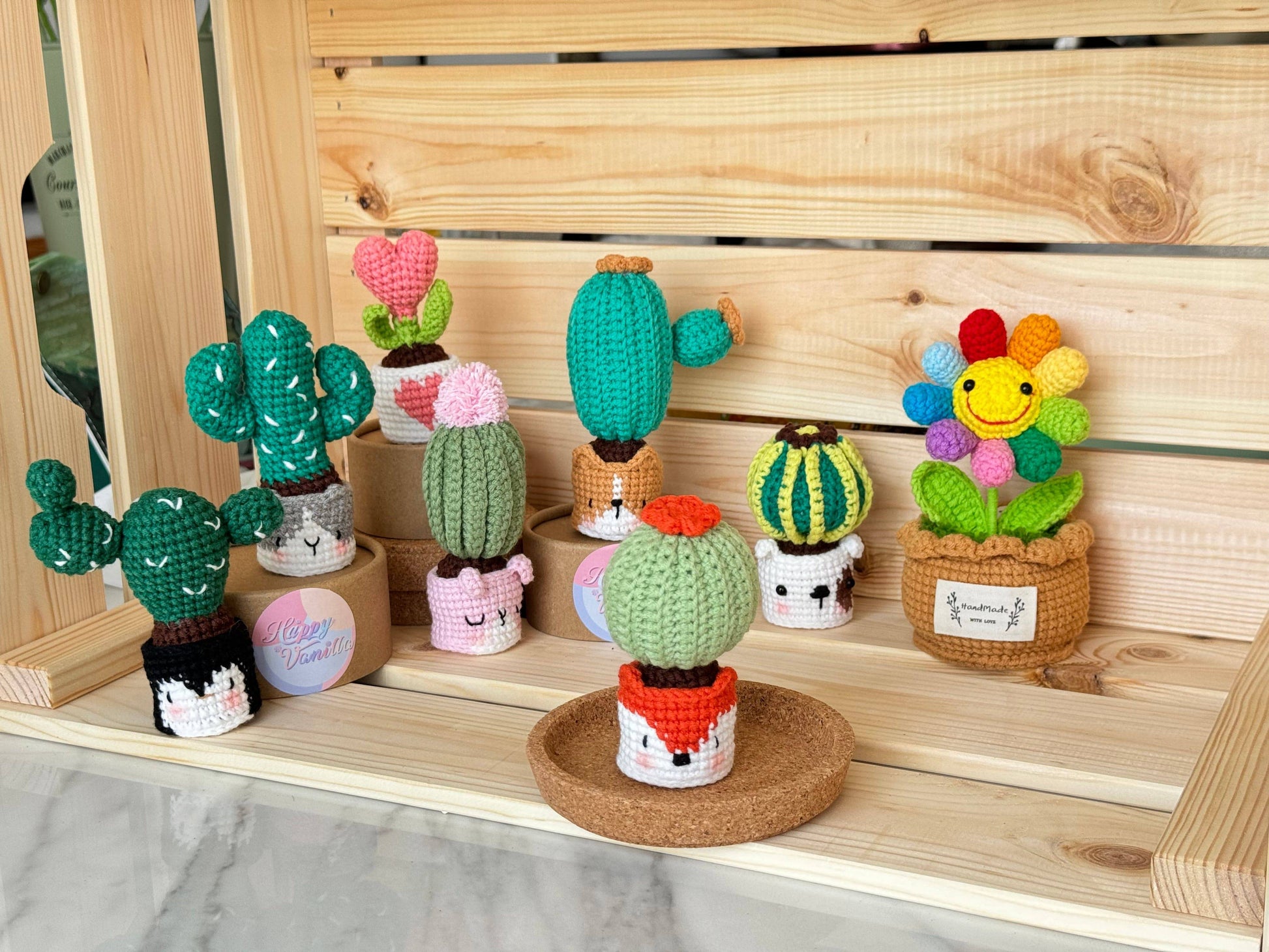 NEW members join Cactus Family!