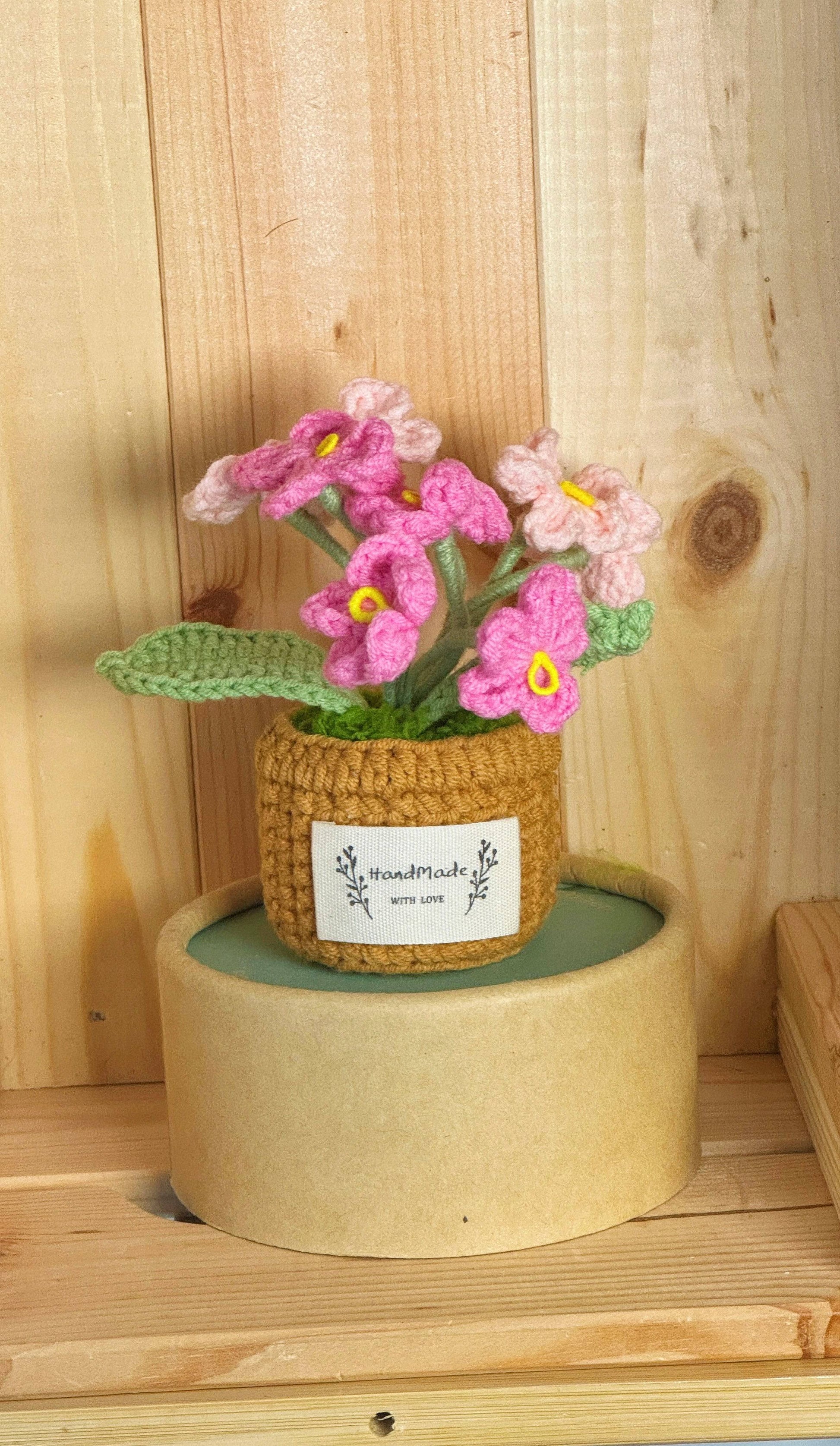 Flower Pots Collection – Everlasting Blooms