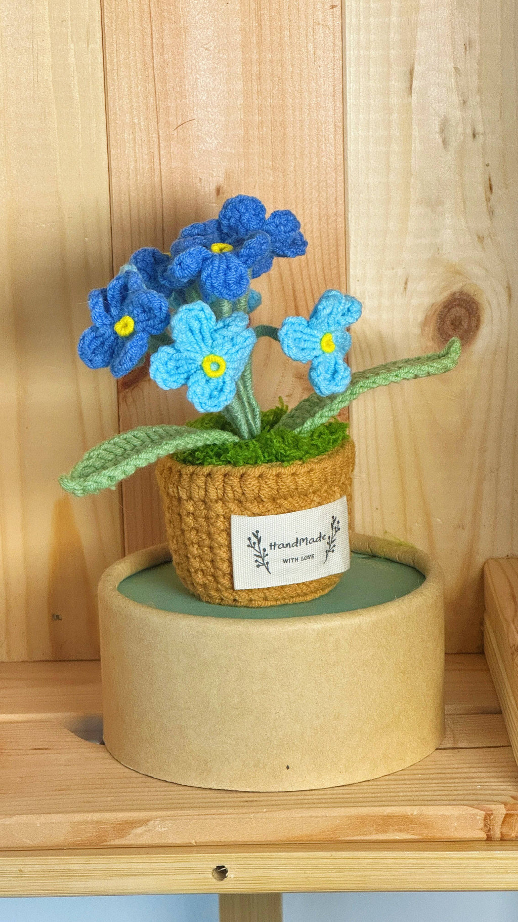 Flower Pots Collection – Everlasting Blooms