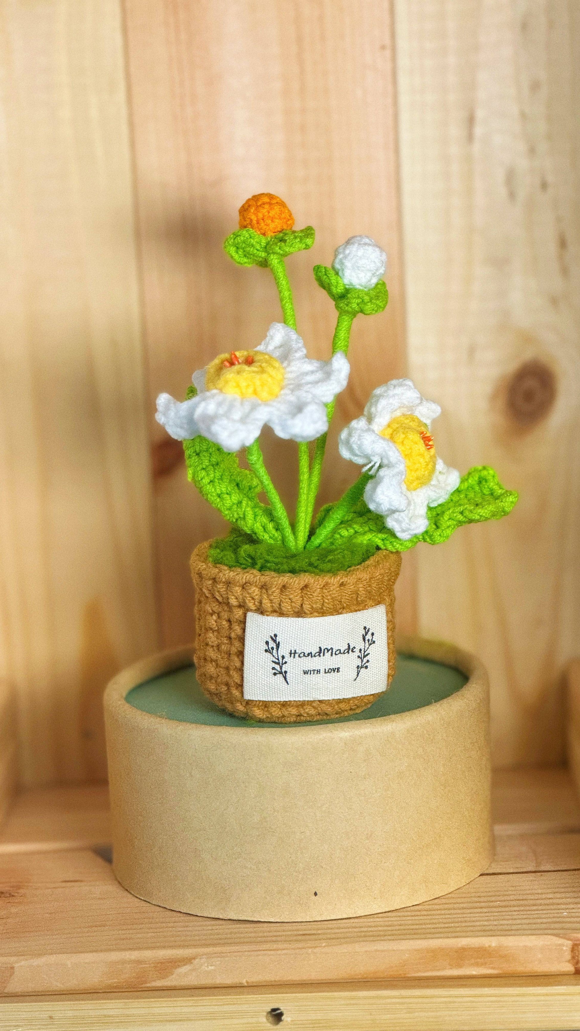 Flower Pots Collection – Everlasting Blooms