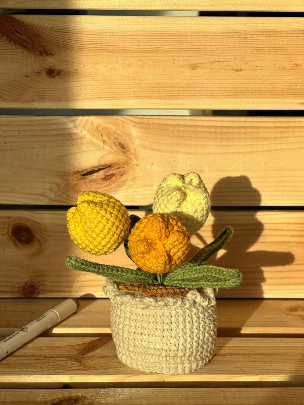 XXL Pot Plants : Larger the size, Bigger the smile