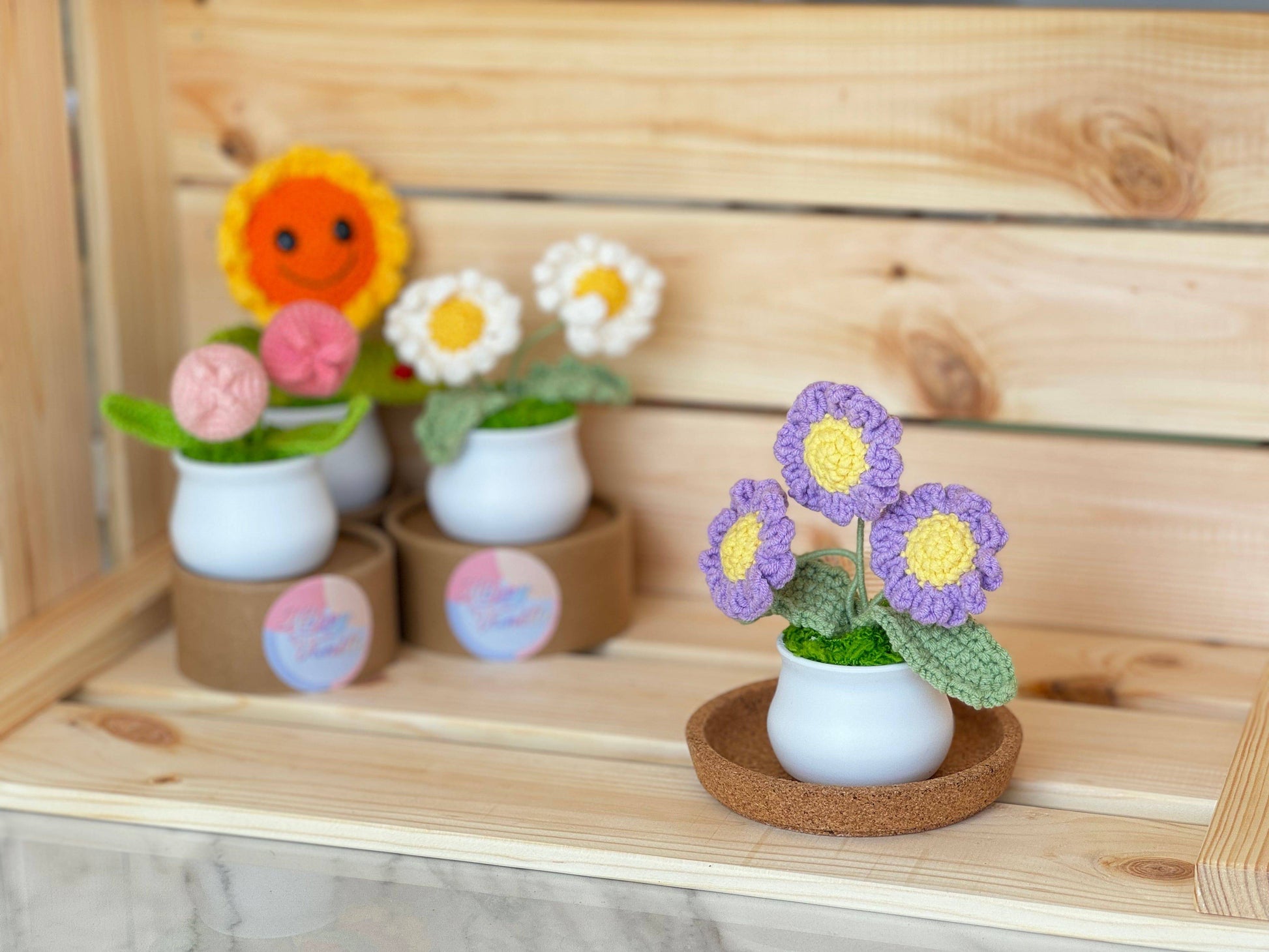 Blooming Joy: Whimsical Garden Pastel Pot Collection