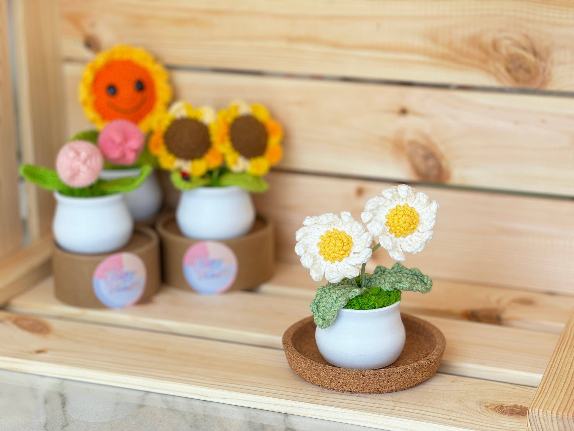Blooming Joy: Whimsical Garden Pastel Pot Collection