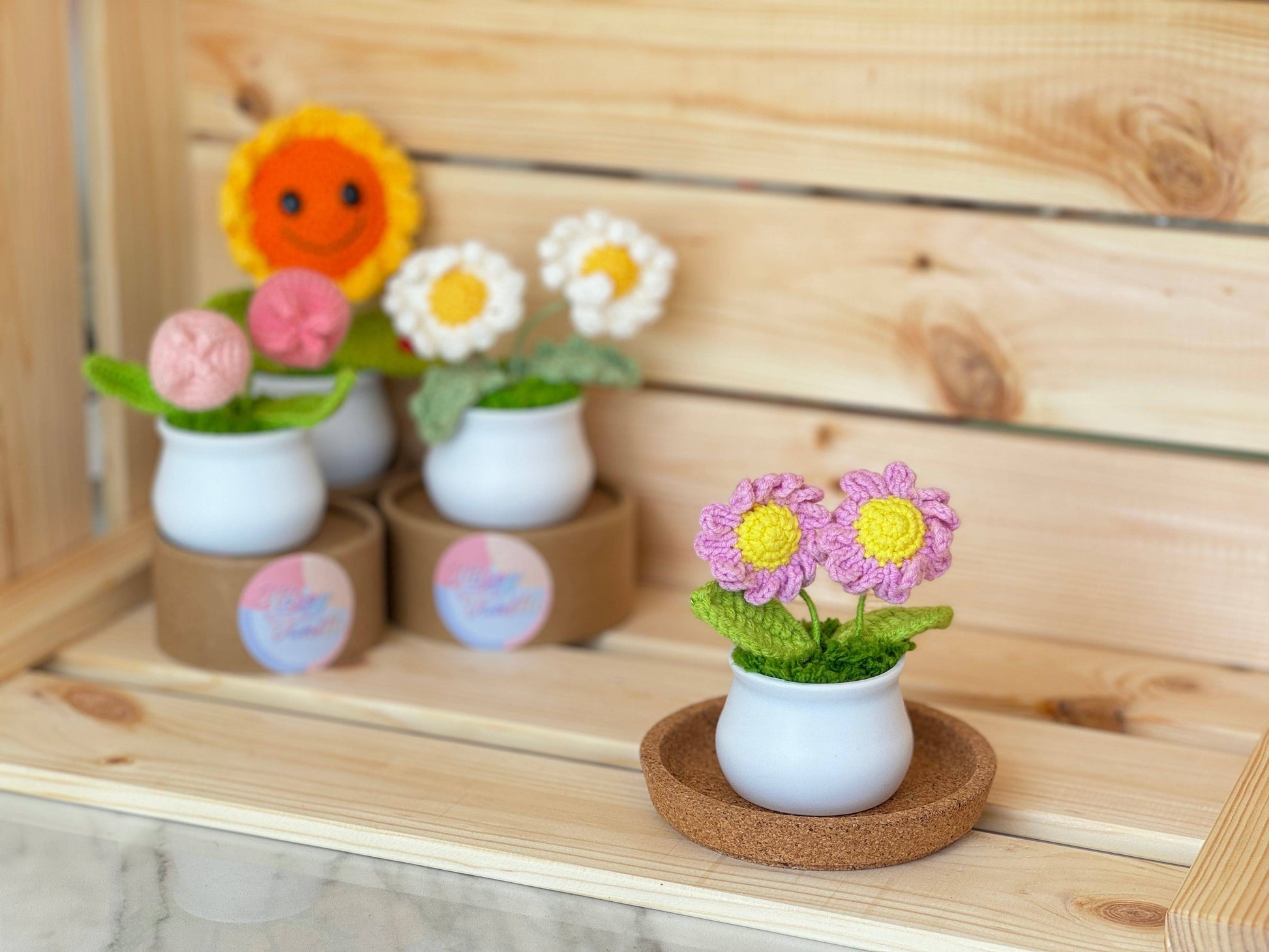 Blooming Joy: Whimsical Garden Pastel Pot Collection