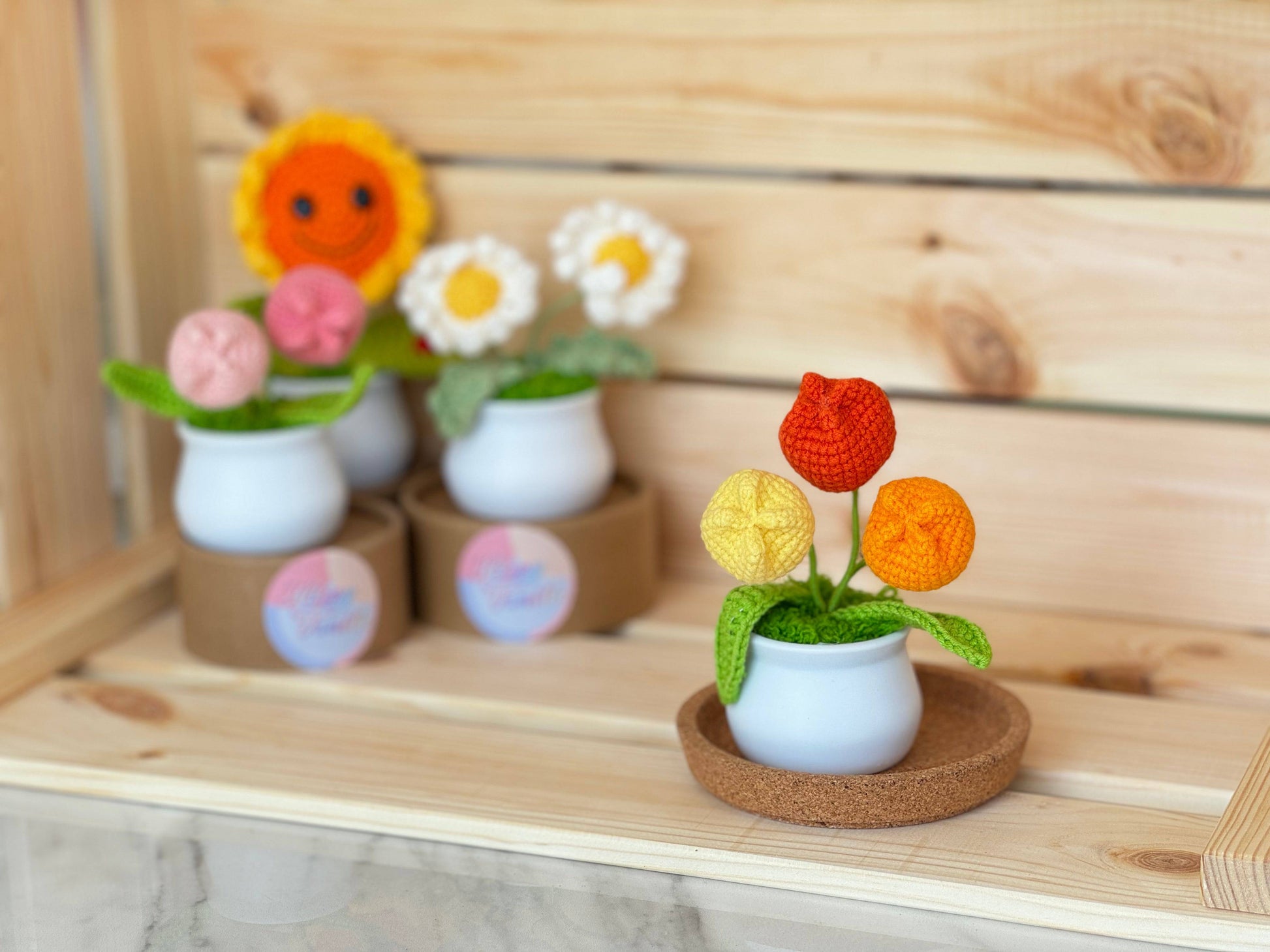 Blooming Joy: Whimsical Garden Pastel Pot Collection