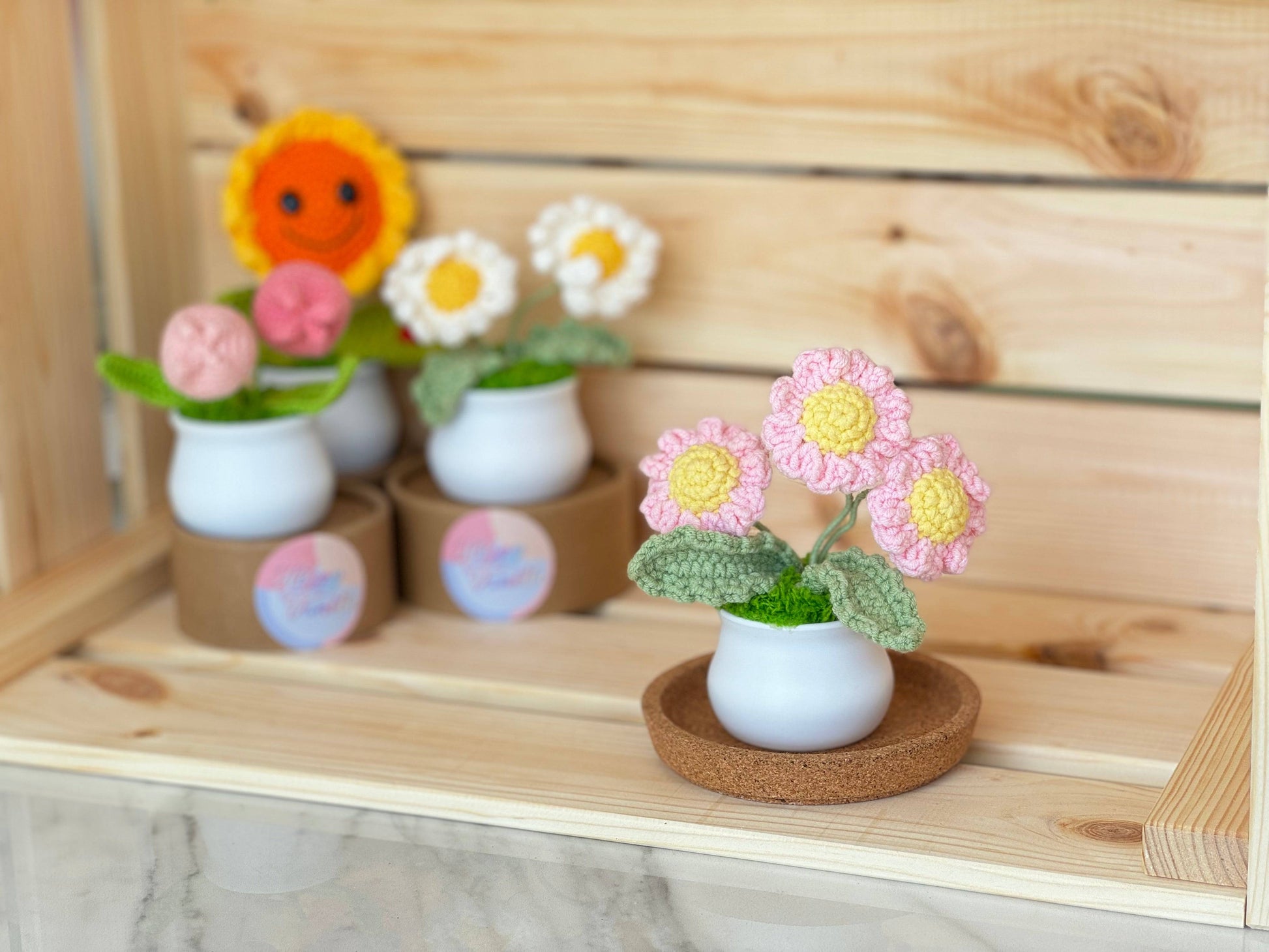 Blooming Joy: Whimsical Garden Pastel Pot Collection