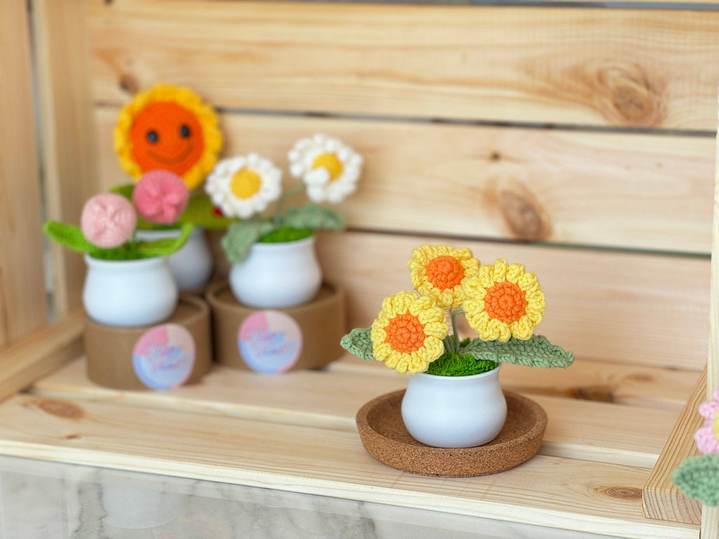Blooming Joy: Whimsical Garden Pastel Pot Collection