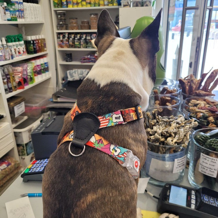 bold close-up of a travel-themed dog harness with leather accents and eiffel tower graphic