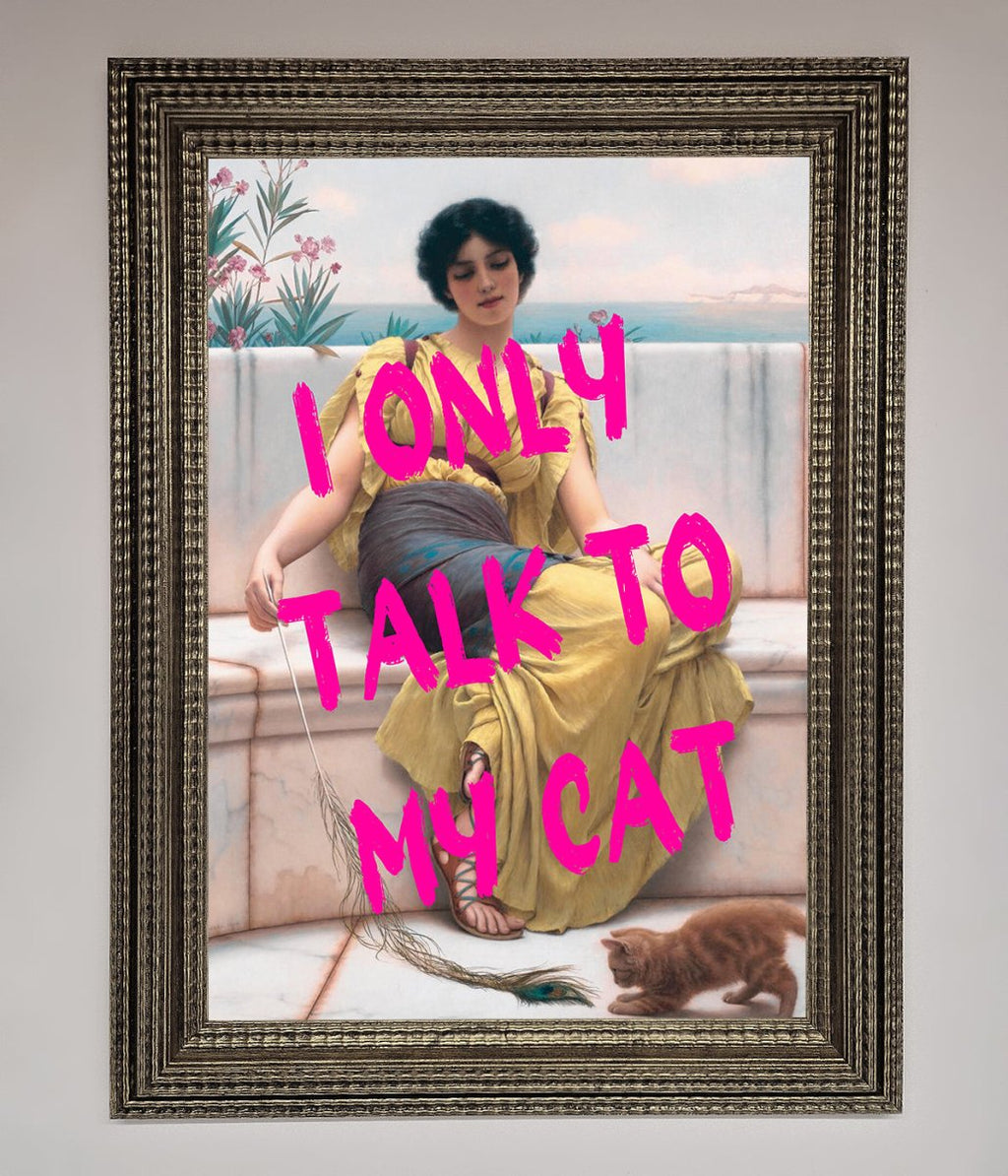 I Only Talk To My Cat Framed Wall Art