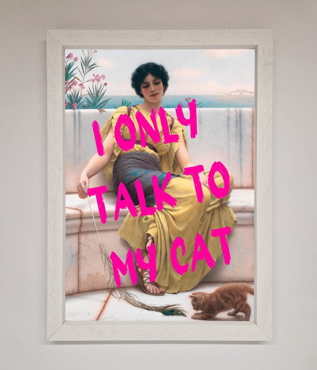 I Only Talk To My Cat Framed Wall Art