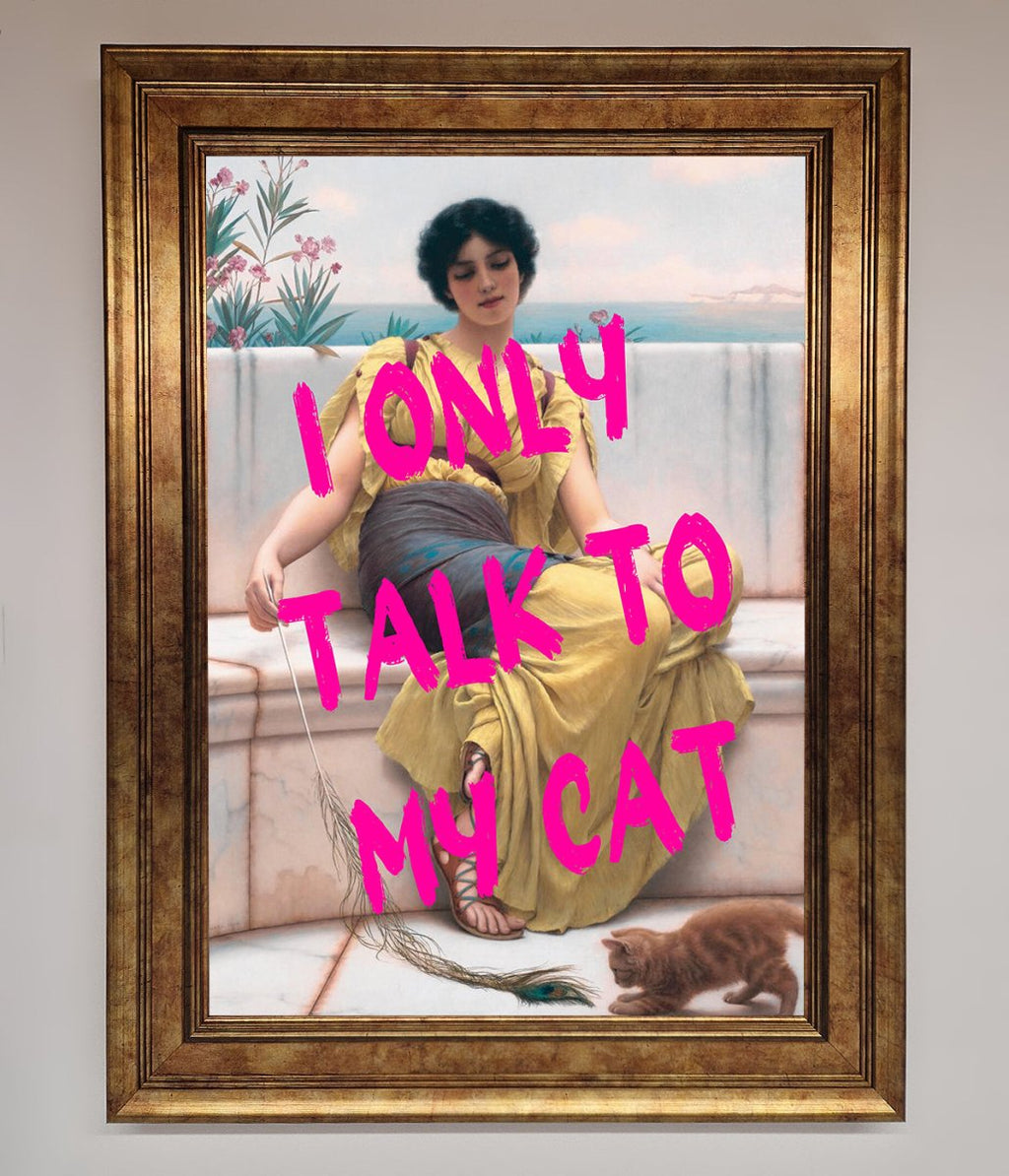 I Only Talk To My Cat Framed Wall Art