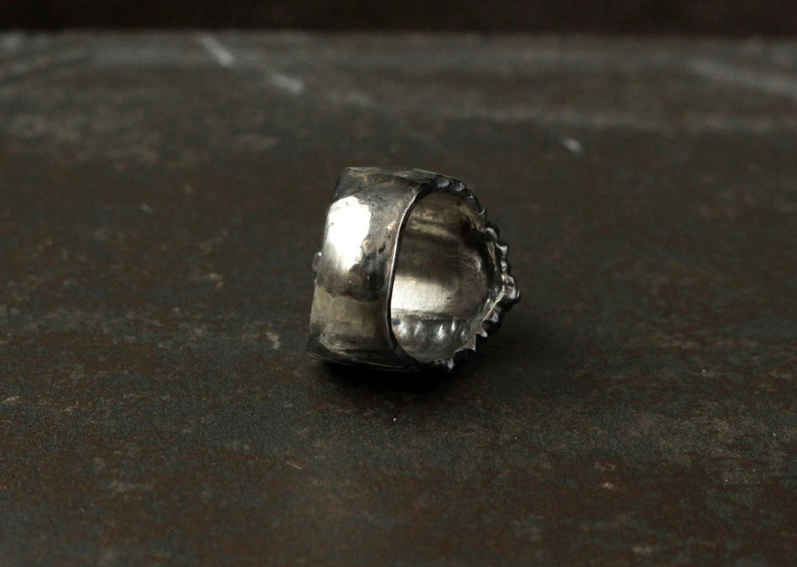 Tree Hollow Ring with an Owl - Silver