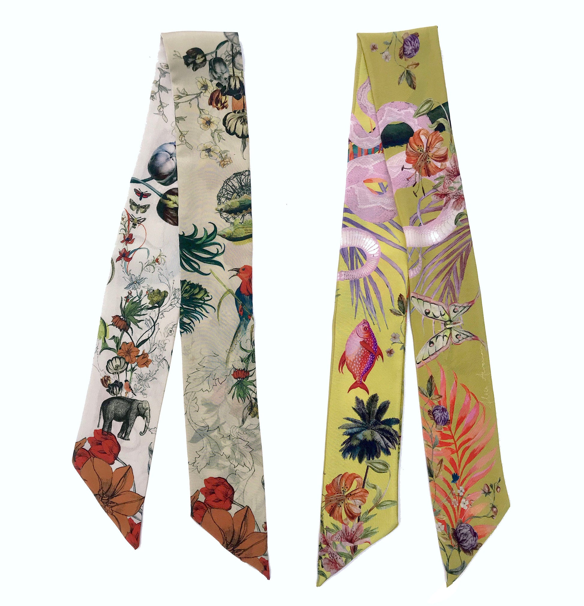 Cream Skinny Silk Scarf in Botanical Evolution Print