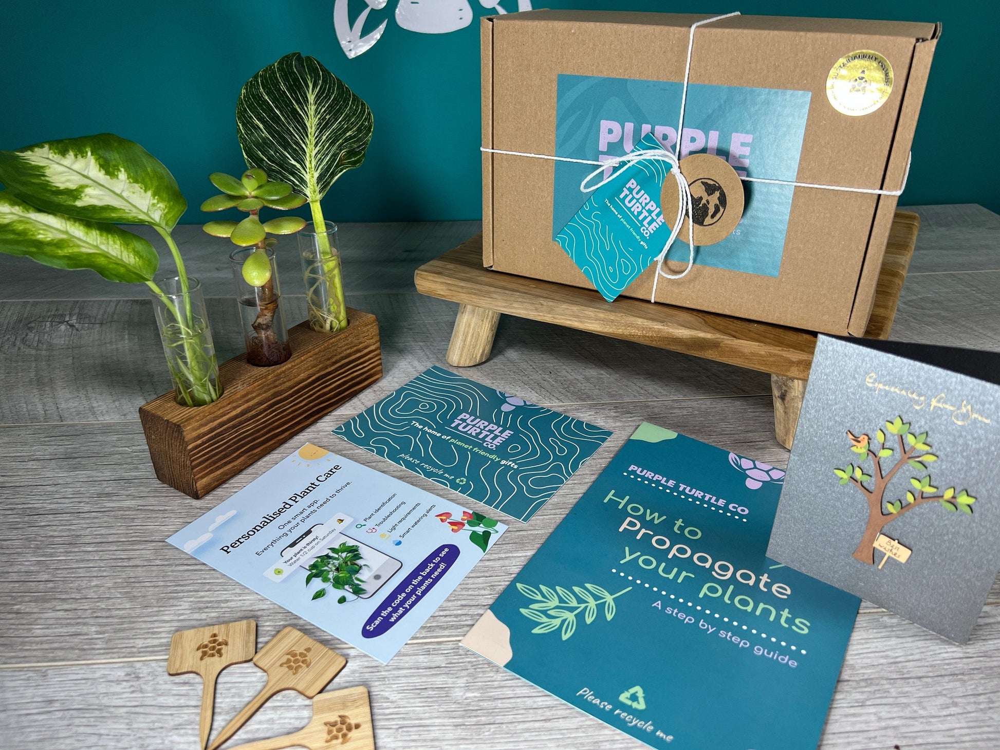 Plant Propagation Gift Set #6