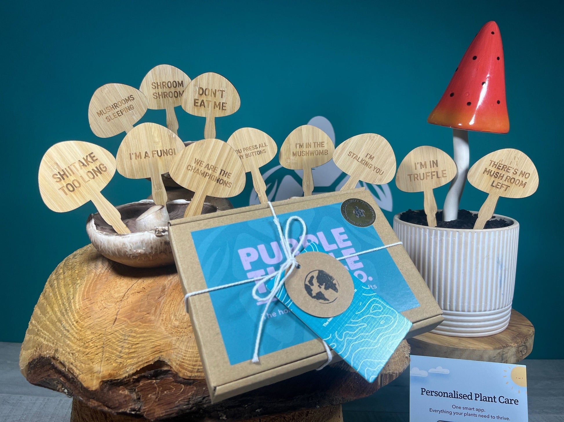 Mushroom Plant Stakes Gift Set