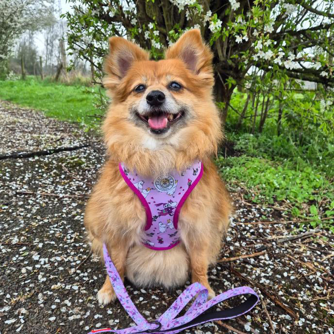 Moomins Pink Champagne Dog Lead by Soho Poms