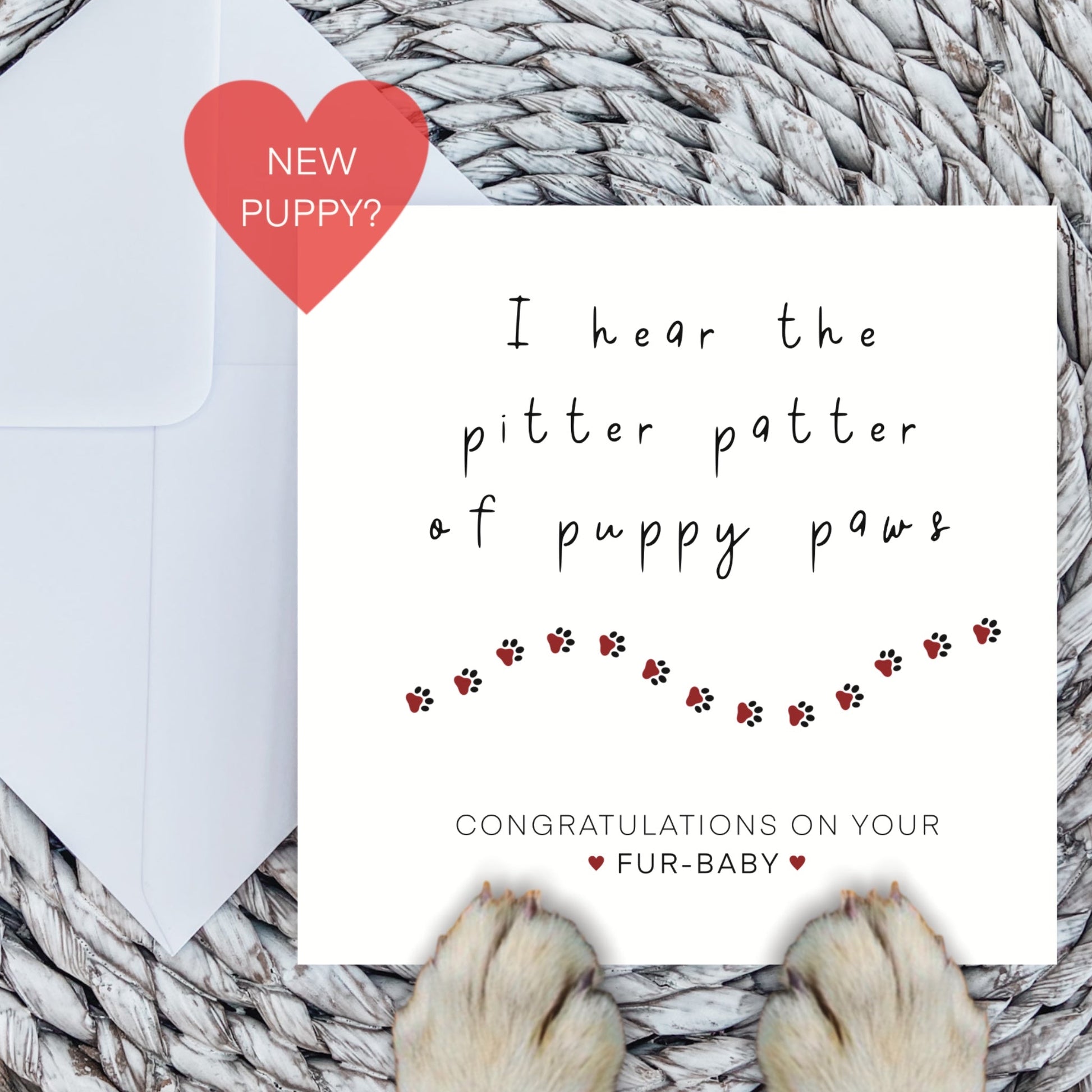 New Puppy Congratulations Card