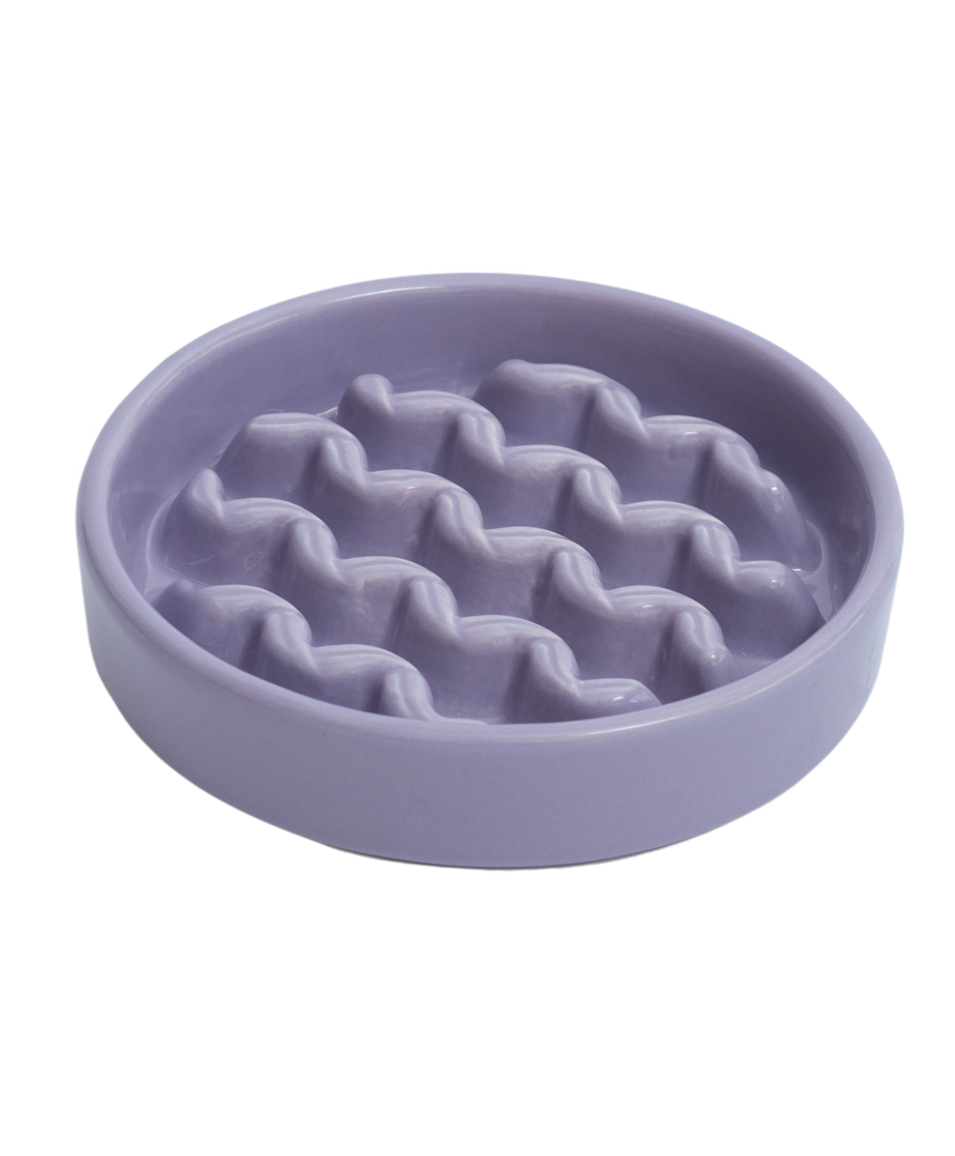 Macaroni Slow Feeder Dog Bowl with Non Slip Base