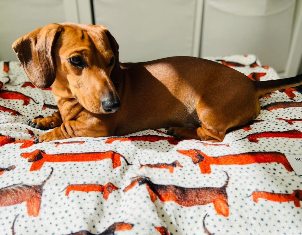 Sizzlin' Sausages Dog Snuggle Blanket