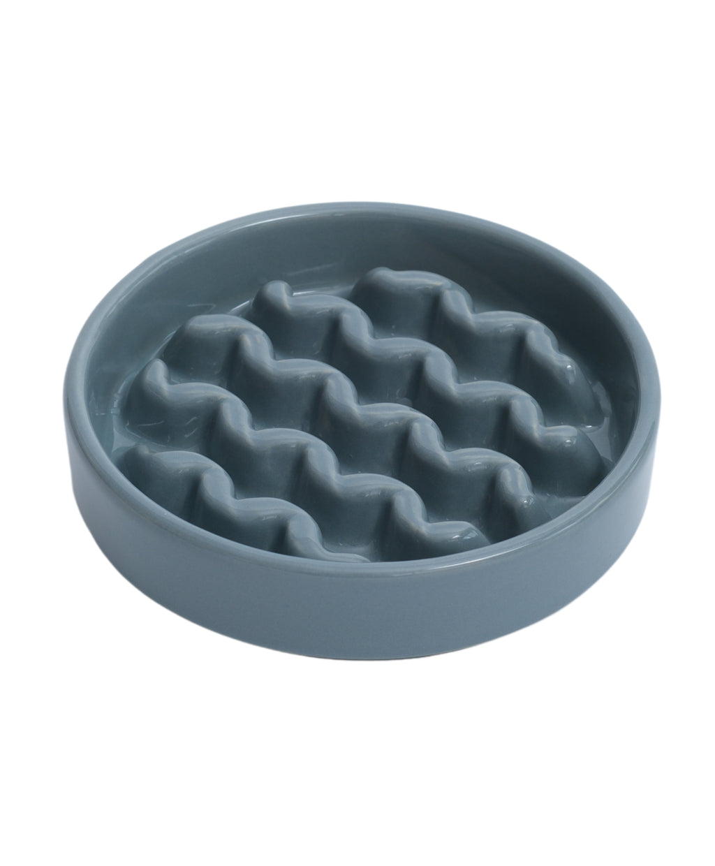 Macaroni Slow Feeder Dog Bowl with Non Slip Base