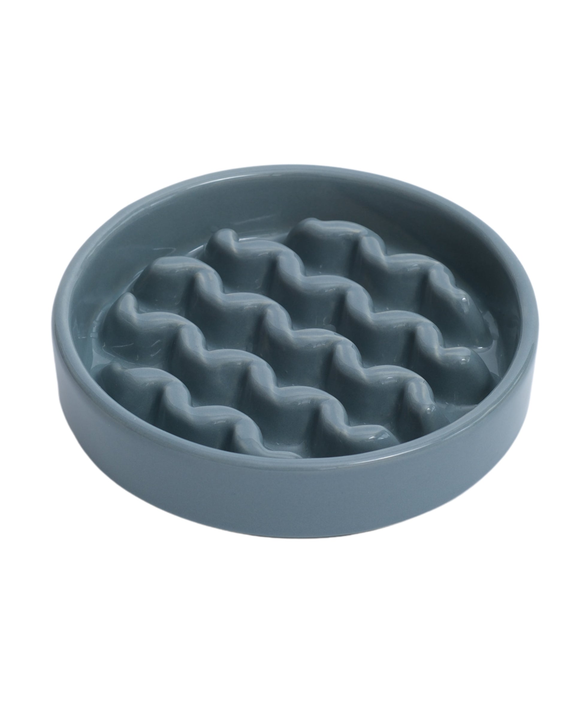 Macaroni Slow Feeder Dog Bowl with Non Slip Base