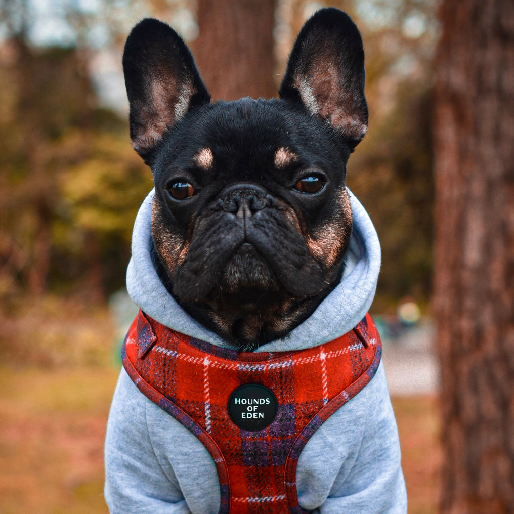 'Sammi' - Red & Grey Check Dog Harness