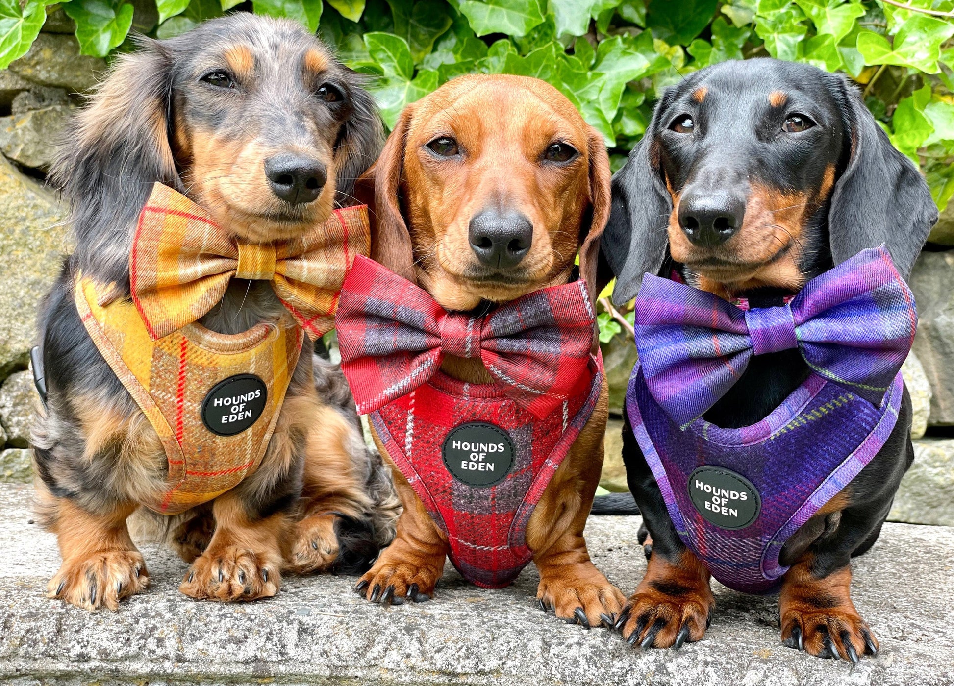 'Sammi' - Red & Grey Check Dog Harness