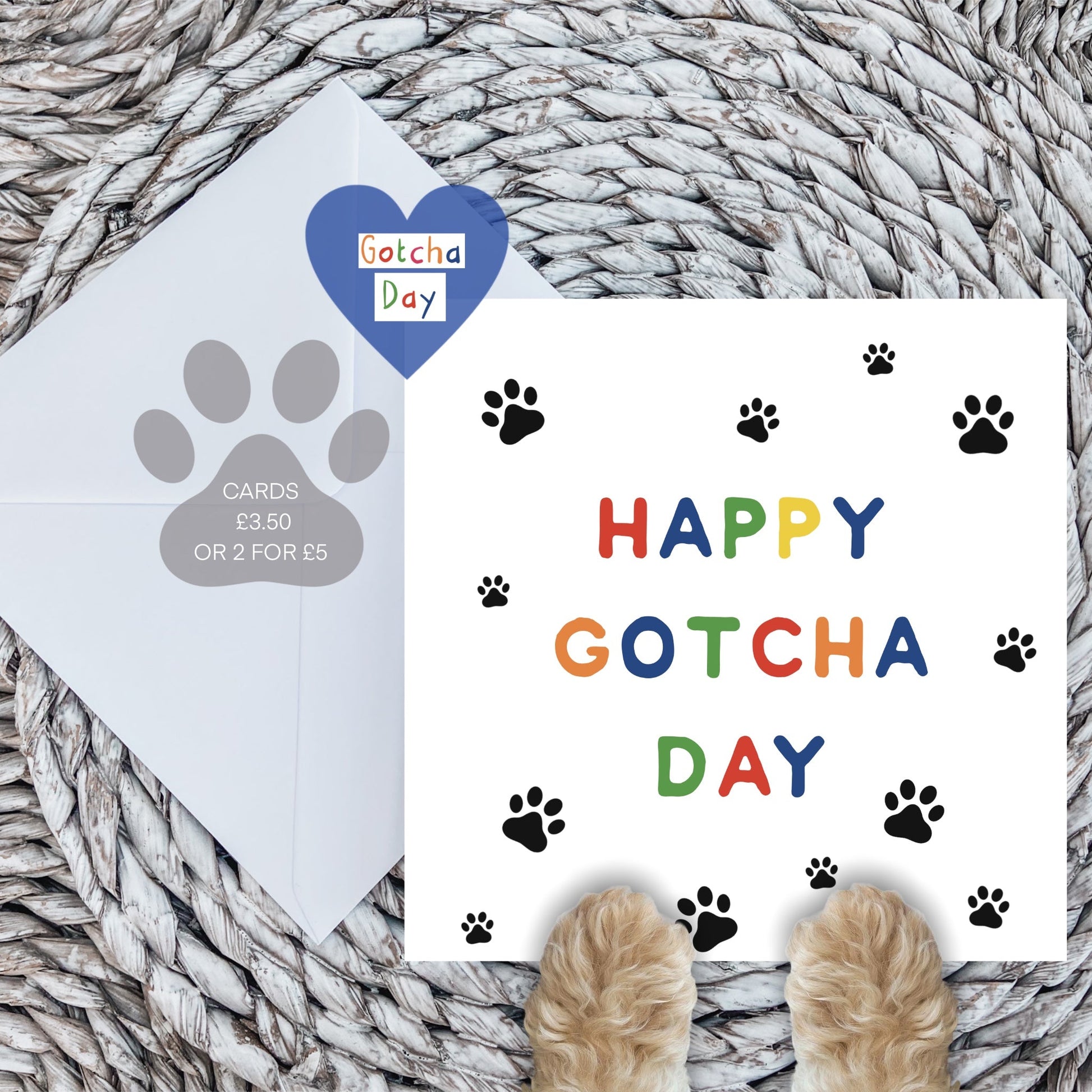 Happy Gotcha Day Card in Rainbow