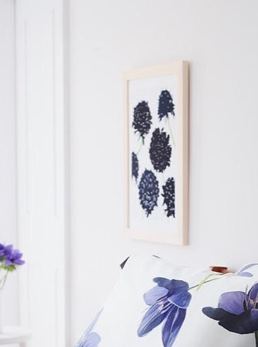 Black Scabiosa on Snow Art Print