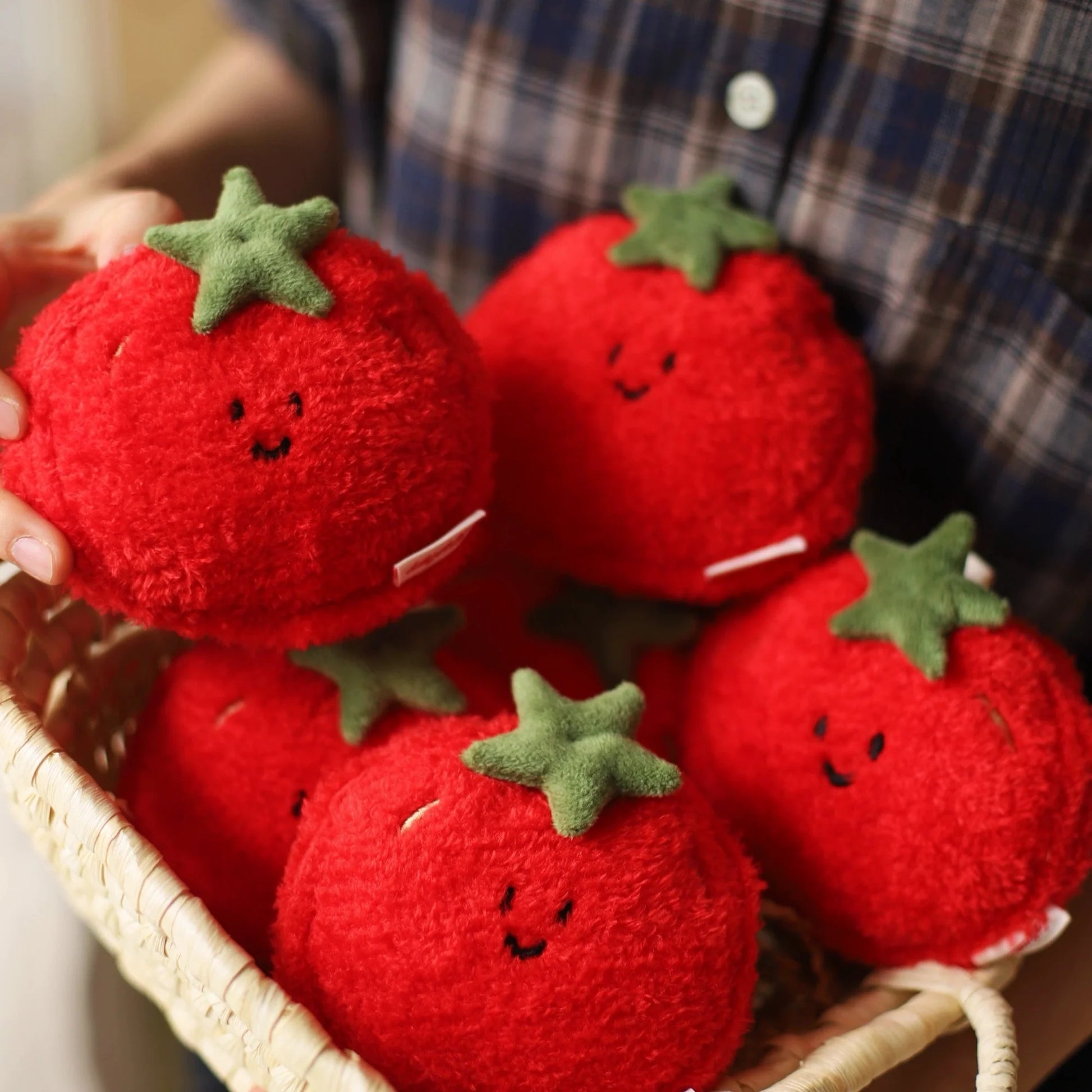 Tomato Mini Bag in Soft Plush Red