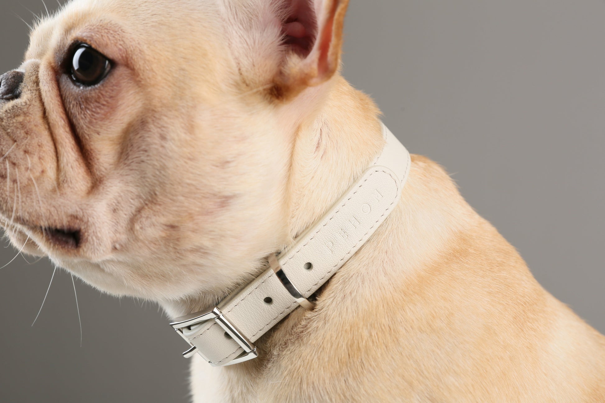 Calfskin Pet Collar