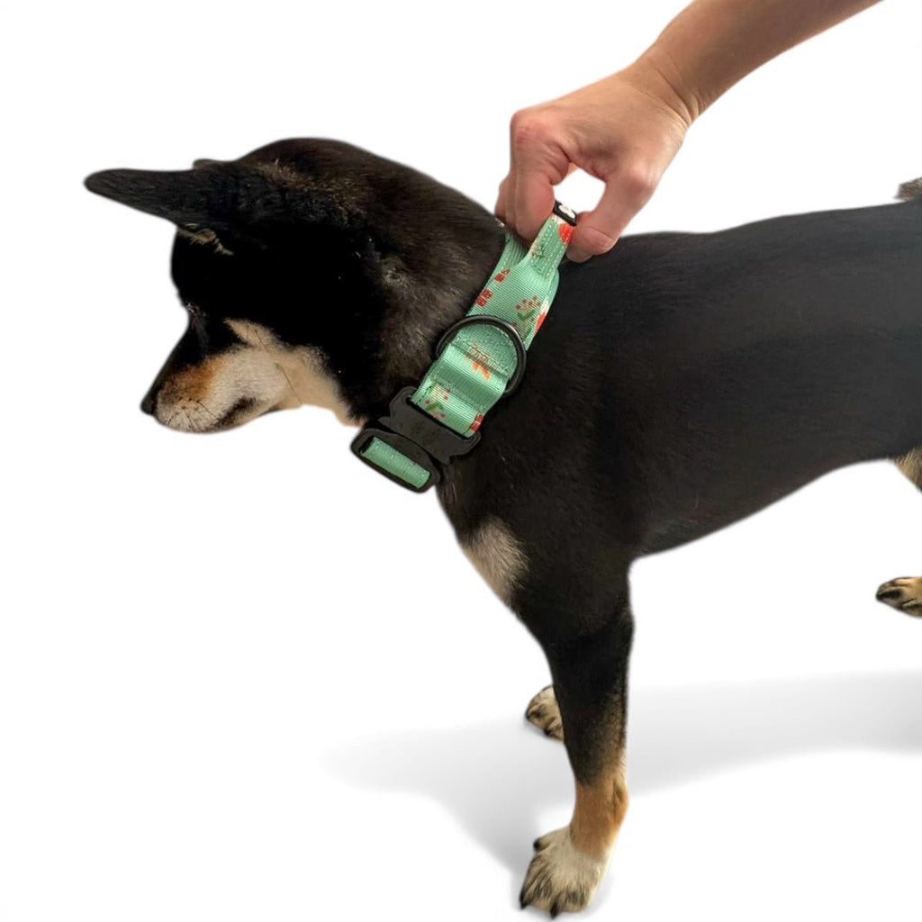 Tactical Dog Collar in Rust Orange Fox Print