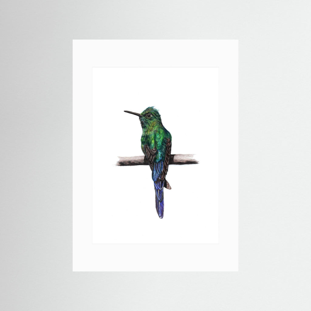 Hummingbird Art Print Wildlife Wall Art for Nature Lovers