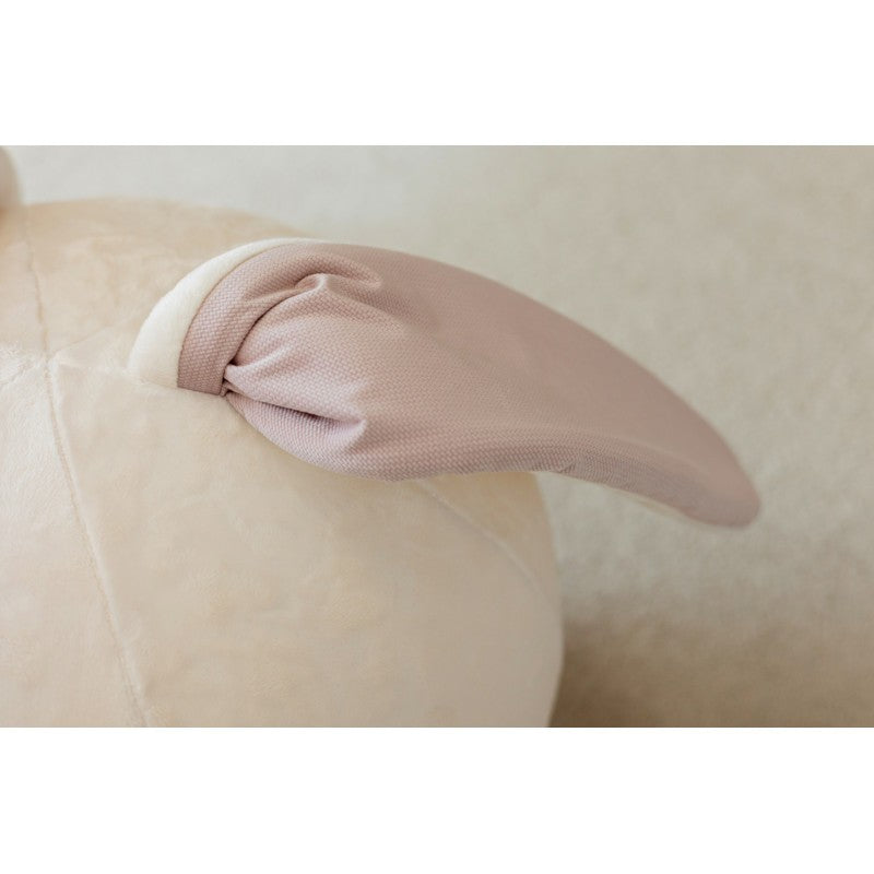 Jumping Ball - Sweet Rabbit