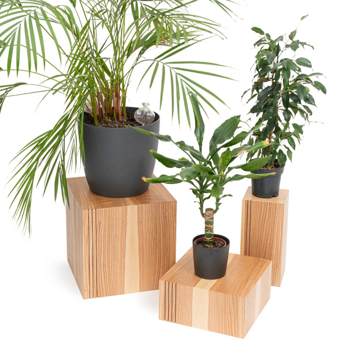 bold set of three stylish wooden cube plant stands in a dramatic low-angle shot showcasing their modern design