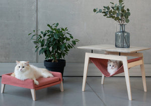 bold raspberry cat bed and table set in dramatic studio lighting