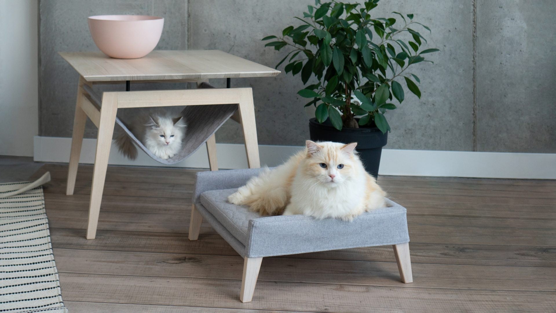 bold anthracite kikko table and lulu pet bed set in dramatic studio lighting