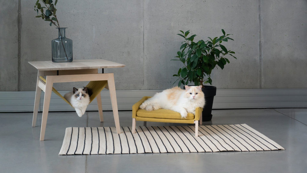 a cat resting in the soft lulu bed under the warm honey finish kikko table