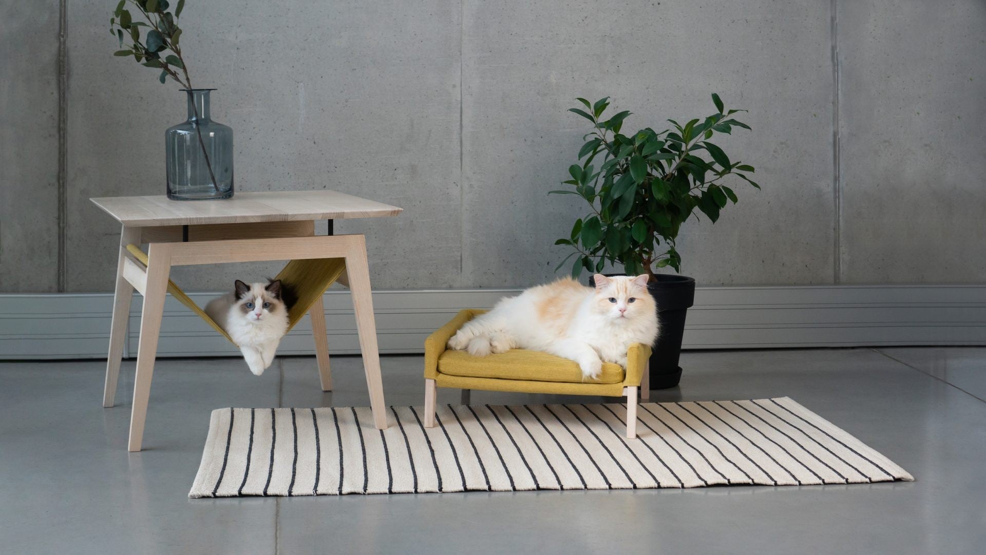 a cat resting in the soft lulu bed under the warm honey finish kikko table