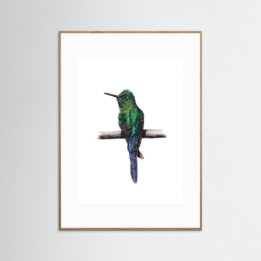 Hummingbird Art Print Wildlife Wall Art for Nature Lovers