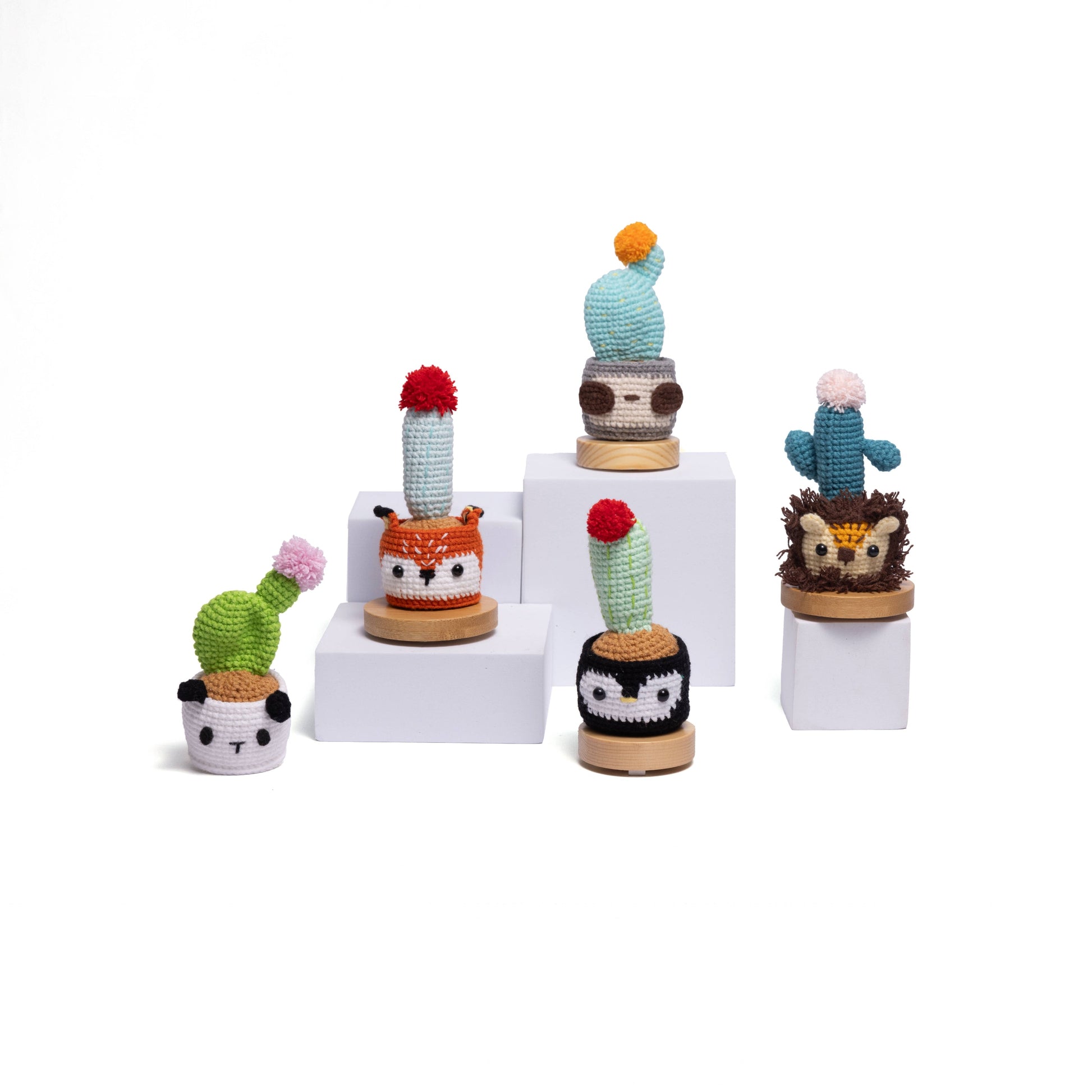 NEW members join Cactus Family!