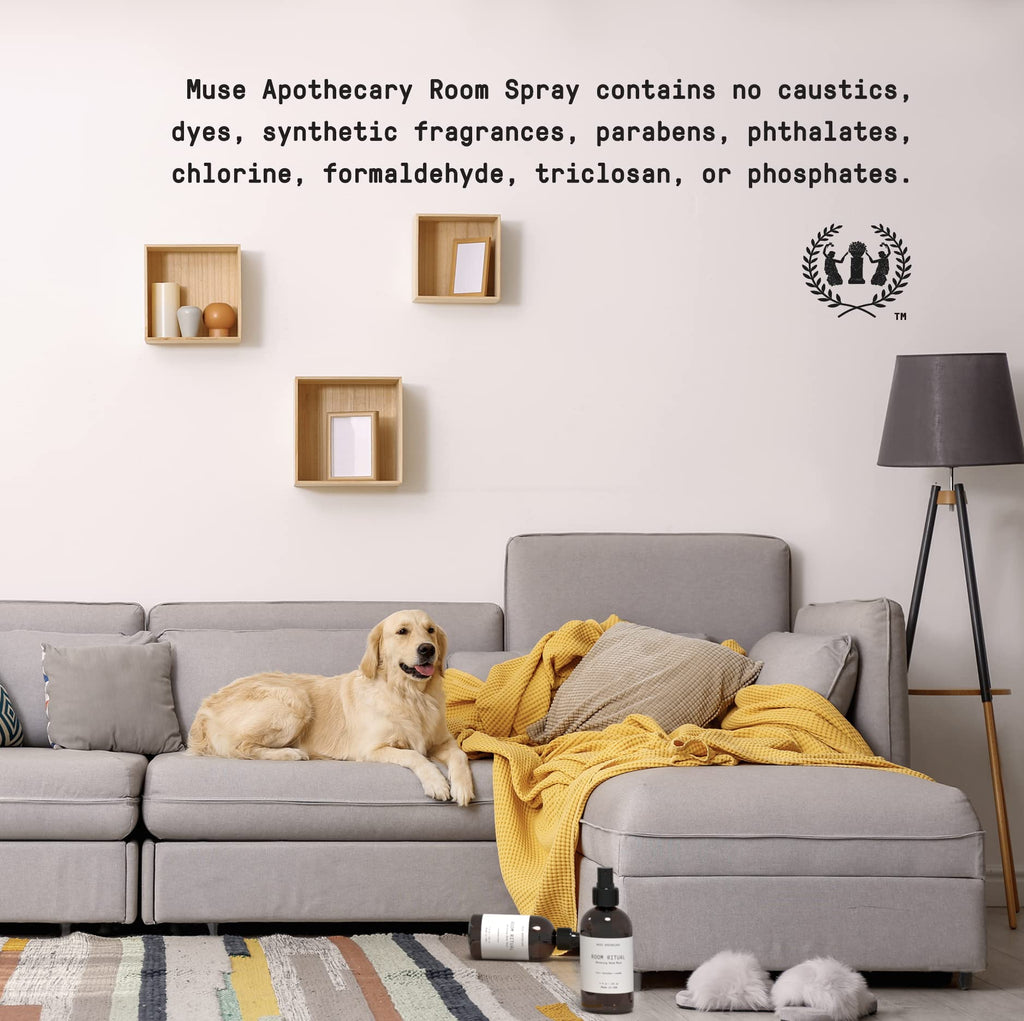 Room Ritual Room Mist with Aloe, Eucalyptus and Lavender 4 oz