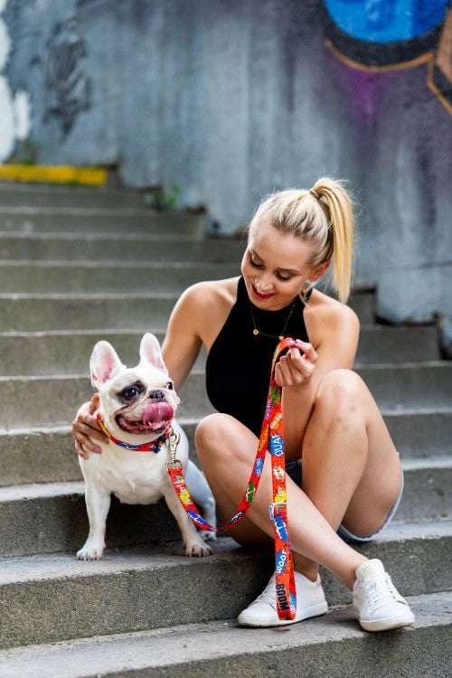 bold red graffiti dog leash with a strong carabiner on a dark urban background