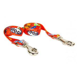 bold red graffiti leash splitter for two dogs on a concrete background
