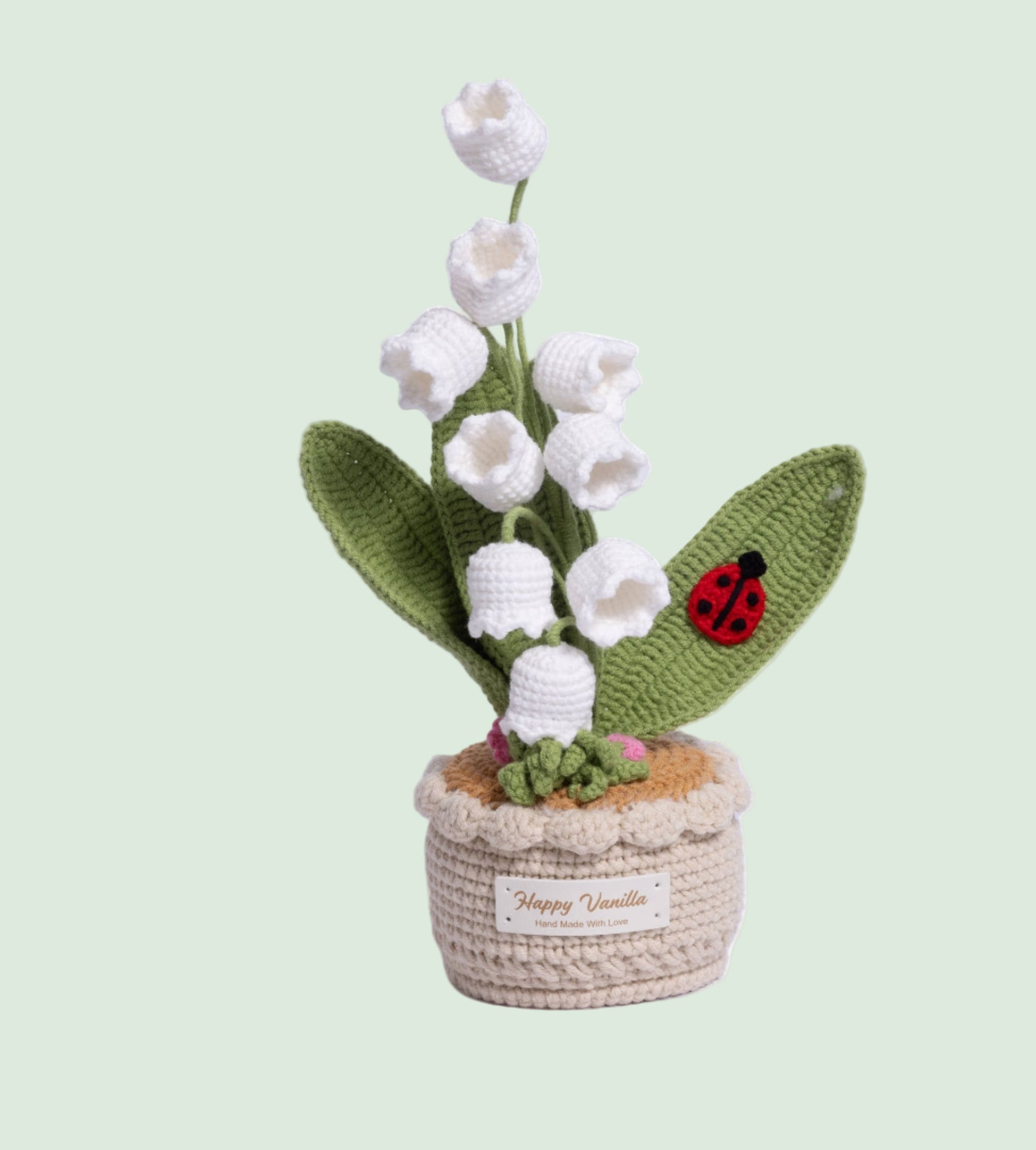 XXL Pot Plants : Larger the size, Bigger the smile